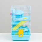 Клетка для грызунов "Пижон", трёхэтажная с наполнением 31 х 24 х 40 см, голубая - Фото 3
