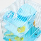 Клетка для грызунов "Пижон", трёхэтажная с наполнением 31 х 24 х 40 см, голубая - Фото 4