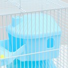 Клетка для грызунов "Пижон", трёхэтажная с наполнением 31 х 24 х 40 см, голубая - Фото 5