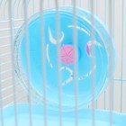 Клетка для грызунов "Пижон", трёхэтажная с наполнением 31 х 24 х 40 см, голубая - Фото 7