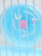 Клетка для грызунов «Пижон», 31×24×40 см двухэтажная. с наполнением, голубая - Фото 9