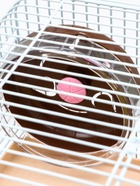 Клетка для грызунов «Пижон», 31×24×40 см двухэтажная. с наполнением, коричневая - Фото 8