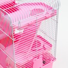 Клетка для грызунов «Пижон», 31×24×40 см, трёхэтажная, с наполнением, пластик, металл, розовая - Фото 6