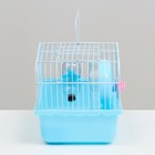 Клетка для грызунов "Пижон", 23 х 17 х 17 см, голубая - Фото 3