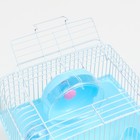 Клетка для грызунов "Пижон", 23 х 17 х 17 см, голубая - Фото 4