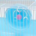 Клетка для грызунов "Пижон", 23 х 17 х 17 см, голубая - Фото 5