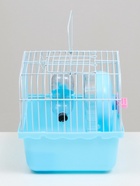 Клетка для грызунов «Пижон», 23×17×17 см, голубая - Фото 5