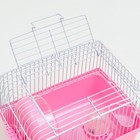 Клетка для грызунов "Пижон", 23 х 17 х 17 см, розовая - Фото 4