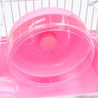 Клетка для грызунов "Пижон", 23 х 17 х 17 см, розовая - Фото 5