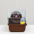 Клетка для грызунов «Пижон», 23×17×17 см, коричневая - Фото 3