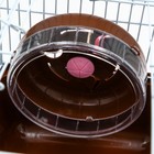 Клетка для грызунов "Пижон", 23 х 17 х 17 см, коричневая - Фото 5