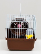 Клетка для грызунов «Пижон», 23×17×17 см, коричневая - Фото 5