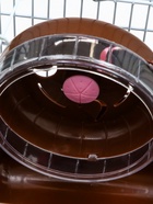 Клетка для грызунов «Пижон», 23×17×17 см, коричневая - Фото 7