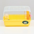 Клетка для грызунов "Пижон", 27 х 21 х 17 см, жёлтая - Фото 2