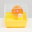 Клетка для грызунов "Пижон", 27 х 21 х 17 см, жёлтая - Фото 3