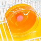 Клетка для грызунов "Пижон", 27 х 21 х 17 см, жёлтая - Фото 7