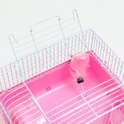 Клетка для грызунов "Пижон", 27 х 21 х 17 см, розовая - Фото 4