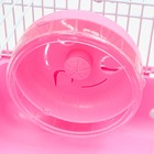 Клетка для грызунов "Пижон", 27 х 21 х 17 см, розовая - Фото 5