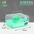 Клетка для грызунов "Пижон", 31 х 24 х 17 см, зелёная - фото 291449708