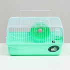 Клетка для грызунов "Пижон", 31 х 24 х 17 см, зелёная - Фото 2