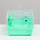 Клетка для грызунов "Пижон", 31 х 24 х 17 см, зелёная - Фото 3