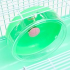 Клетка для грызунов "Пижон", 31 х 24 х 17 см, зелёная - Фото 4