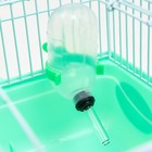 Клетка для грызунов "Пижон", 31 х 24 х 17 см, зелёная - Фото 6