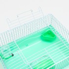 Клетка для грызунов "Пижон", 31 х 24 х 17 см, зелёная - Фото 7