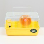 Клетка для грызунов "Пижон", 31 х 24 х 17 см, жёлтая - Фото 2
