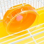 Клетка для грызунов "Пижон", 31 х 24 х 17 см, жёлтая - Фото 4