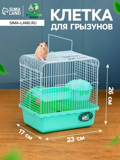 Клетка для грызунов «Пижон», 23×17×26 см, эмаль, зелёная