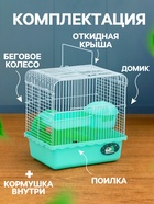 Клетка для грызунов «Пижон», 23×17×26 см, эмаль, зелёная - Фото 2