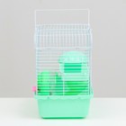 Клетка для грызунов "Пижон", 23 х 17 х 26 см, эмаль, зелёная - Фото 3