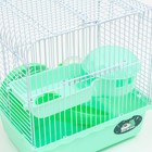 Клетка для грызунов "Пижон", 23 х 17 х 26 см, эмаль, зелёная - Фото 4