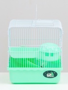 Клетка для грызунов «Пижон», 23×17×26 см, эмаль, зелёная - Фото 4