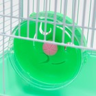 Клетка для грызунов "Пижон", 23 х 17 х 26 см, эмаль, зелёная - Фото 5