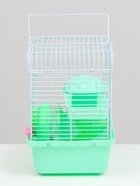 Клетка для грызунов «Пижон», 23×17×26 см, эмаль, зелёная - Фото 5