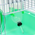 Клетка для грызунов "Пижон", 23 х 17 х 26 см, эмаль, зелёная - Фото 6