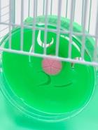 Клетка для грызунов «Пижон», 23×17×26 см, эмаль, зелёная - Фото 7