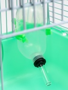 Клетка для грызунов «Пижон», 23×17×26 см, эмаль, зелёная - Фото 8