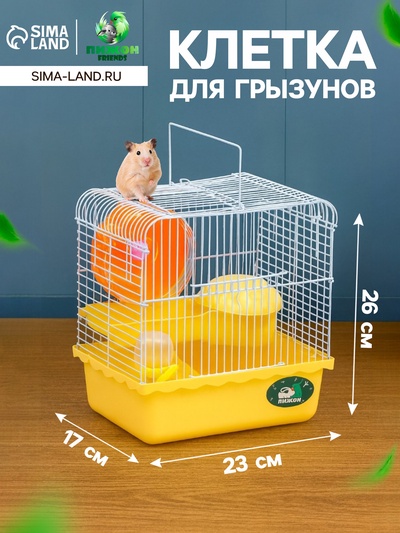 Клетка для грызунов «Пижон», 23×17×26 см, эмаль, жёлтая