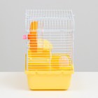 Клетка для грызунов «Пижон», 23×17×26 см, эмаль, жёлтая - Фото 3