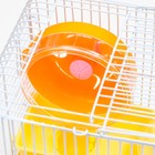 Клетка для грызунов "Пижон", 23 х 17 х 26 см, эмаль, жёлтая - Фото 4