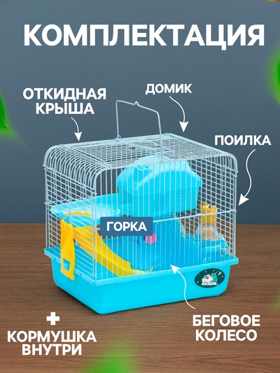 Клетка для грызунов «Пижон», 27×21×26 см укомплектованная, голубая