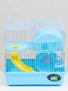 Клетка для грызунов «Пижон», 27×21×26 см укомплектованная, голубая - Фото 4