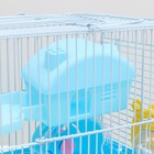 Клетка для грызунов "Пижон", укомплектованная, 27 х 21 х 26 см, голубая - Фото 5
