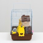 Клетка для грызунов «Пижон», 27×21×26 см укомплектованная, коричневая - Фото 3