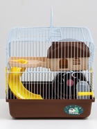 Клетка для грызунов «Пижон», 27×21×26 см укомплектованная, коричневая - Фото 4