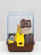 Клетка для грызунов «Пижон», 27×21×26 см укомплектованная, коричневая - Фото 5