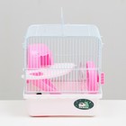 Клетка для грызунов «Пижон», 23×17×26 см, эмаль, белая - Фото 2